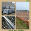 Hot Dipped Galvanized Steel Temporary Fencing Panels (Australia Standar) (DEK-TFP)